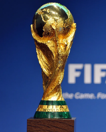 copa del mundo FIFA libros fútbol